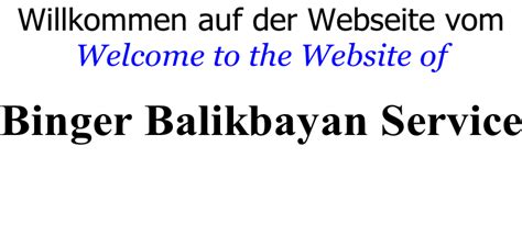 binger balikbayan service philippines|Binger Balikbayan Service e.K., Spitalwiese 1A, Waldalgesheim .